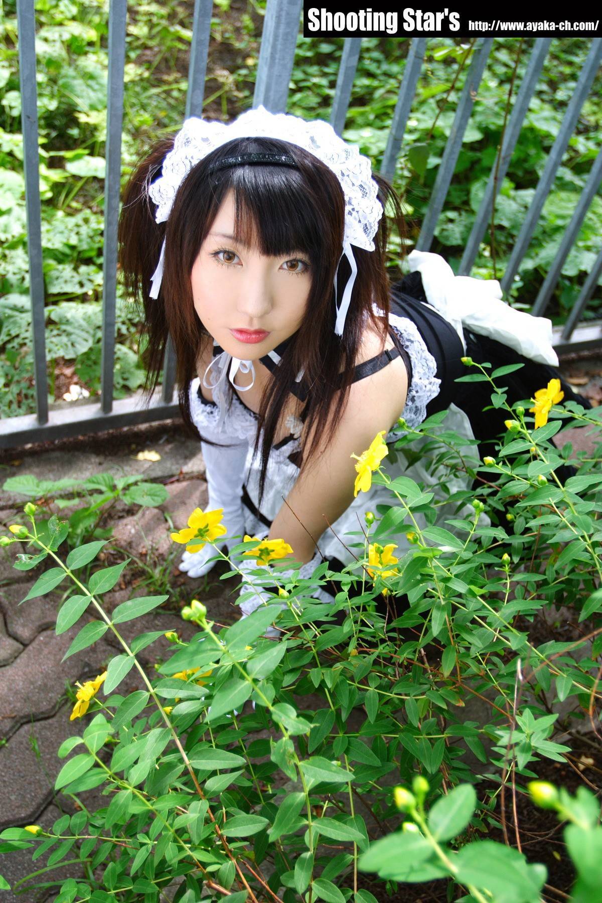 [Cosplay]  Sexy Maid with big boobs